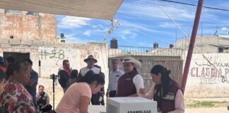 Llama Ana Lilia Rivera a Comités Seccionales de Morena Promover Logros de la 4T - AlternativaTlx