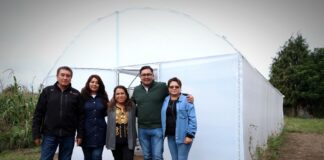 Los Sueños Sí se Hacen Realidad: Virginia Carreto Sánchez - AlternativaTlx