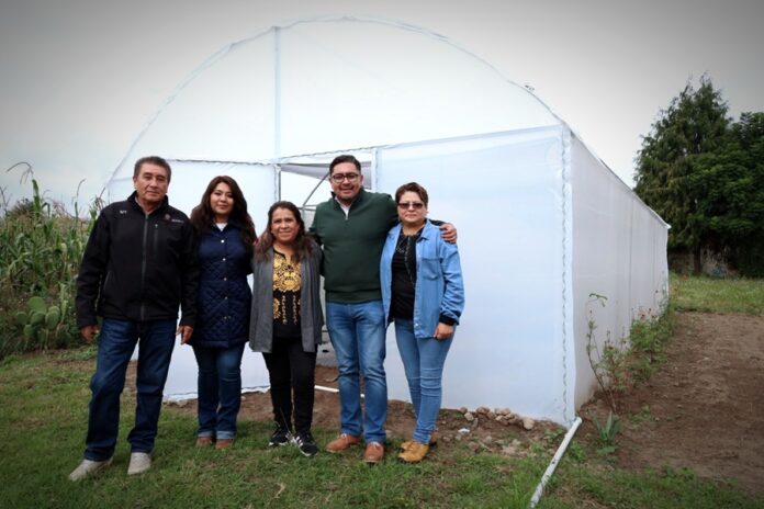 Los Sueños Sí se Hacen Realidad: Virginia Carreto Sánchez - AlternativaTlx