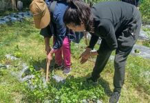 Mujeres que Buscan Empoderamiento Económico Inician Curso “Huertos Familiares” con Respaldo del Ayuntamiento de Tlaxcala - AlternativaTlx