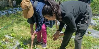 Mujeres que Buscan Empoderamiento Económico Inician Curso “Huertos Familiares” con Respaldo del Ayuntamiento de Tlaxcala - AlternativaTlx