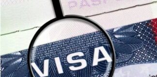 Preocupa a la SIP Propuesta para Limitar Visas a Periodistas Extranjeros en EE. UU - AlternativaTLX