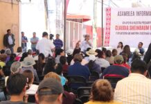 Respalda Ana Lilia Rivera la Estrategia Federal de Política Exterior de México con EUA - AlternativaTlx
