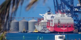 Sector Campesino Exige que el Campo Sea Prioridad en Revisión Del T-Mec - AlternativaTlx