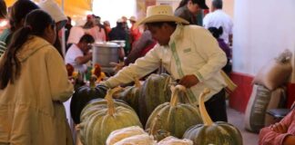 Tlaxcala, Bastión de la Defensa del Maíz Nativo: Tradición y Resistencia - AlternativaTlx