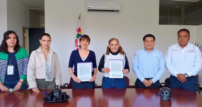 “Tlaxcala, la Feria de Ferias 2025” Garantiza Medidas para Cuidar Salud de Familias y Visitantes - AlternativaTlx