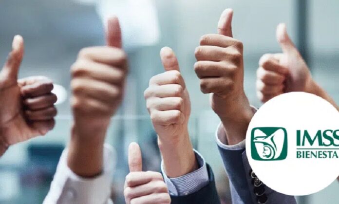 Trabajadores Asegurados. Corte Nacional. Análisis Local - AlternativaTlx