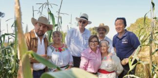AGRICULTURA y FAO Reconocen al Sistema Agrícola Metepantle de Tlaxcala como Patrimonio Agrícola Mundial - AlternativaTlx