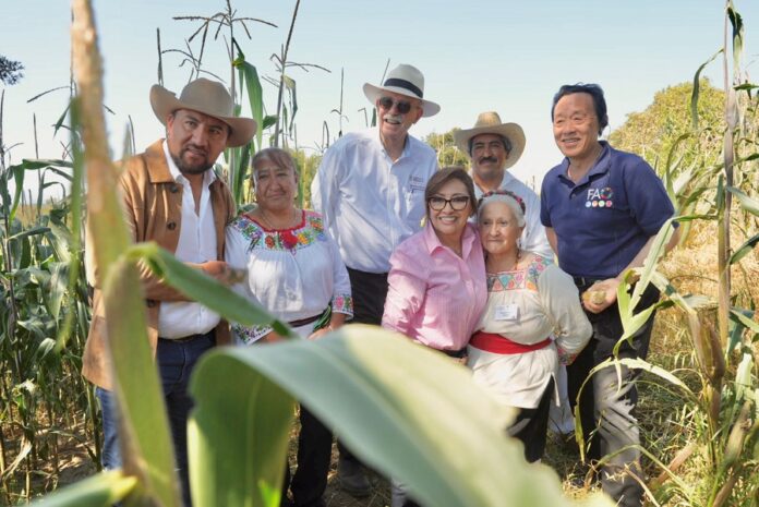 AGRICULTURA y FAO Reconocen al Sistema Agrícola Metepantle de Tlaxcala como Patrimonio Agrícola Mundial - AlternativaTlx