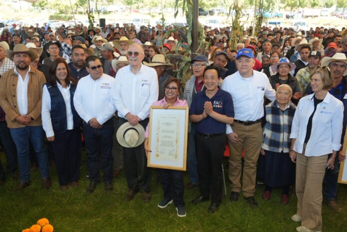 Agricultura y FAO Reconocen al Sistema Agrícola Metepantle de Tlaxcala Como Patrimonio Agrícola Mundial - AlternativaTlx