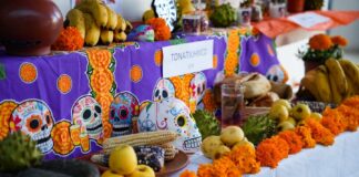 Con Ofrendas, Cine y Música el Ayuntamiento de Tlaxcala Inicia el “Festival de la Vida y la Muerte 2025” - AlternativaTlx