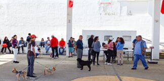 Gobierno de Alfonso Sánchez García Fortalece la Salud Pública al Sumarse a la Jornada Nacional de Vacunación Antirrábica 2025 - AlternativaTlx