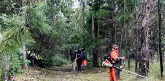 Gobierno de Alfonso Sánchez García Rescata La Ocotera y Devuelve a las Familias un Espacio Verde y Seguro - AlternativaTlx
