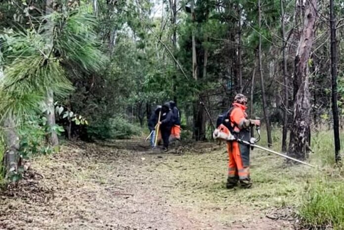 Gobierno de Alfonso Sánchez García Rescata La Ocotera y Devuelve a las Familias un Espacio Verde y Seguro - AlternativaTlx