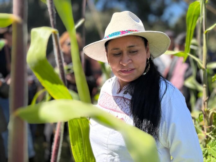 Hace la FAO Reconocimiento a Ana Lilia Rivera y Agricultores por Concretar Metepantle como SIPAM - AlternativaTlx