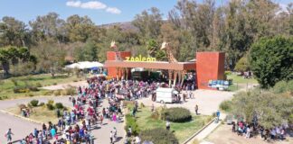 Inaceptable que PROFEPA Use Fotos Apócrifas en su Comunicación Oficial - AlternativaTlx