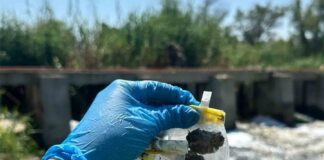 Investigan Cómo los Microbios Sobreviven a la Contaminación Investigan Cómo los Microbios Sobreviven a la Contaminación - AlternativaTlx