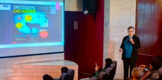 La UATx Abre Diálogo Sobre Soluciones Ante la Presencia de Perros sin Tutor - AlternativaTlx