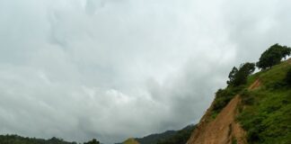 Las Camineras y Camineros, un Siglo de Mantener Unido a México - AlternativaTlx