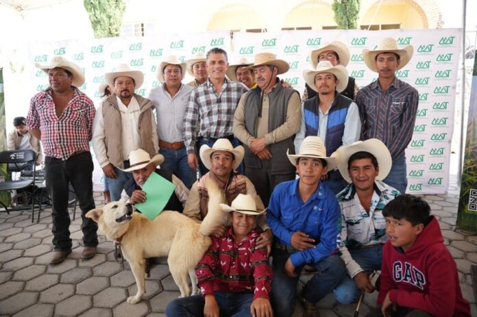 “Plantar un Maguey es Sembrar una Promesa al Futuro”: Alfonso Sánchez García - AlternativaTlx