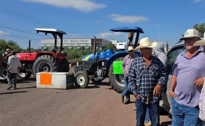 Productores Agrícolas de 20 Estados, Deciden Paro de Actividades - AlternativaTlx