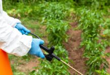 Prohibición de Fitosanitarios no Arriesga la Producción Agrícola Nacional: UMFFAAC - AlternativaTlx