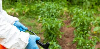 Prohibición de Fitosanitarios no Arriesga la Producción Agrícola Nacional: UMFFAAC - AlternativaTlx