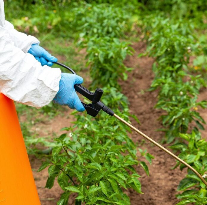 Prohibición de Fitosanitarios no Arriesga la Producción Agrícola Nacional: UMFFAAC - AlternativaTlx