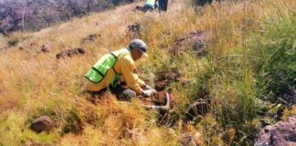 Supervisa SICT Acciones de Mitigación Ambiental en la Carretera Bavispe-Nuevo Casas Grandes Supervisa SICT Acciones de Mitigación Ambiental en la Carretera Bavispe-Nuevo Casas Grandes - AlternativaTlx