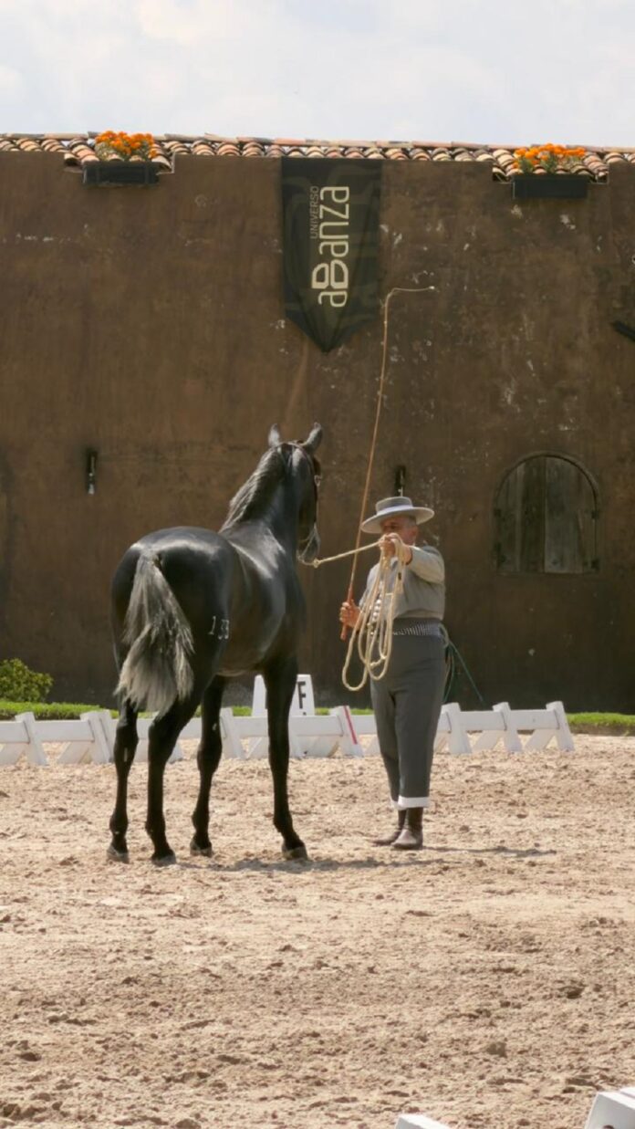 Val’quirico: Sede del Campeonato ANCCEMEX - AlternativaTlx