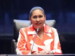 Ana Lilia Rivera: En Base a la Constitución, Senado Designará Titular de la FGR - AlternativaTlx