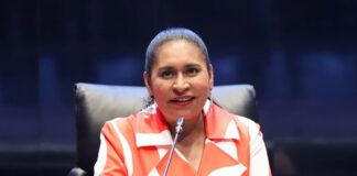 Ana Lilia Rivera: En Base a la Constitución, Senado Designará Titular de la FGR Ana Lilia Rivera: En Base a la Constitución, Senado Designará Titular de la FGR - AlternativaTlx