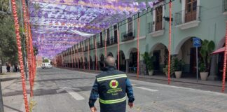 Atiende Protección Civil Estatal Incidentes, y Emite Recomendaciones Ante Fuertes Vientos en Tlaxcala - AlternativaTlx