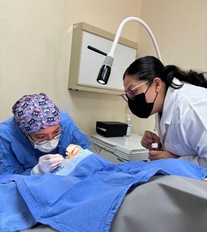 Avanza IMSS Tlaxcala a 13 Procuraciones de Tejidos - AlternativaTlx