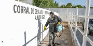 Ayuntamiento de Tlaxcala Procura Instalaciones Saludables en el Rastro Municipal con Fumigaciones - AlternativaTlx