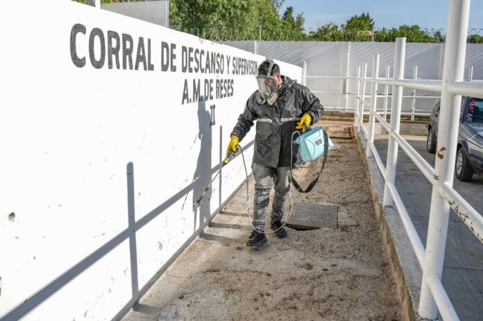 Ayuntamiento de Tlaxcala Procura Instalaciones Saludables en el Rastro Municipal con Fumigaciones - AlternativaTlx