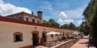 Centro Vacacional La Trinidad de IMSS Tlaxcala ahora es “Pet Friendly” - AlternativaTlx