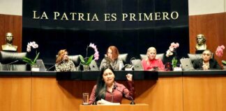 El Senado Honra la Lealtad y Disciplina de Quienes Defienden la Soberanía de México: Ana Lilia Rivera
