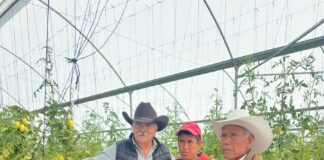 En Emiliano Zapata y Lázaro Cárdenas, Informan a Productores Sobre el Subsidio al Maíz Blanco - AlternativaTlx