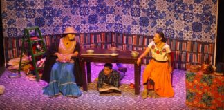 Escenarios IMSS–Cultura Continúa Acercando al Público al Teatro y la Danza en Todo el País - AlternativaTlx