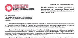 OCPA Entrega Escrito al Patronato para Fortalecer Medidas de Bienestar Animal en Futuras Ediciones de la Feria de Tlaxcala - AlternativaTlx