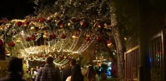 Presenta Val’Quirico Actividades Artísticas y Tradicionales para la Temporada Navideña - AlternativaTlx