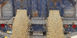 Productores Exigen a la Federación Ampliar Presupuesto al Maíz - AlternativaTlx