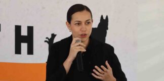 Recomendaciones para Atender a tu Mascota en Caso de Emergencia - AlternativaTlx