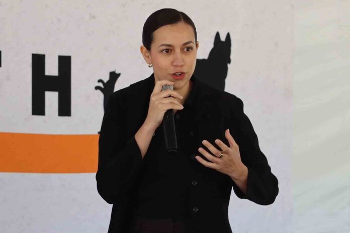 Recomendaciones para Atender a tu Mascota en Caso de Emergencia - AlternativaTlx