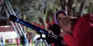 Una Noche Mágica bajo la Luz de la Luna en Zacatelco - AlternativaTlx