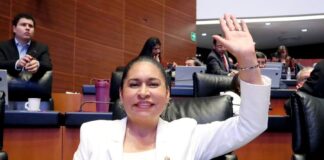 Asegura Ana Lilia Rivera Actualización de Ley de los Impuestos Generales Fortalecerá Economía de México - AlternativaTlx