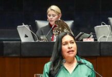 Capacitación y Coordinación de Fuerzas Armadas Mexicanas con EUA fortalece a México: Ana Lilia Rivera - AlternativaTlx