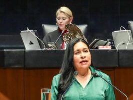 Capacitación y Coordinación de Fuerzas Armadas Mexicanas con EUA fortalece a México: Ana Lilia Rivera - AlternativaTlx