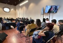Cine, Audiovisual, Libro y Lectura, Ejes de las Mesas Cuatro y Cinco del Encuentro “Comunidades Artísticas, Patrimonio y Memoria” - AlternativaTlx